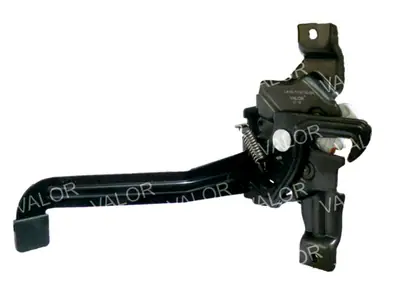 VALOR0495