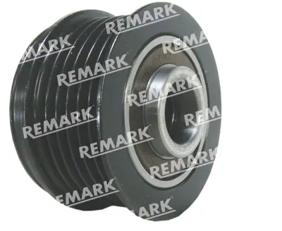 AKR100