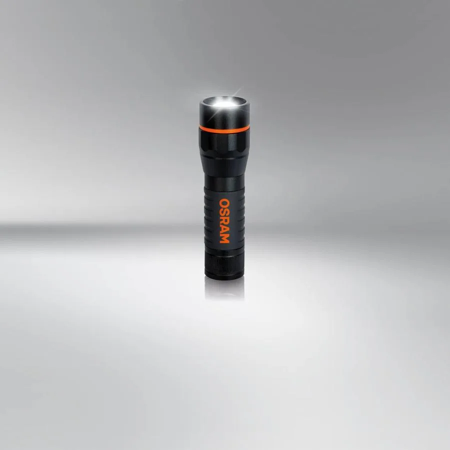 LEDinspect TORCH 450 ESSENTIAL
